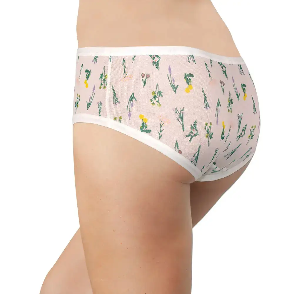Mesh Floral Soft Hipster Panty