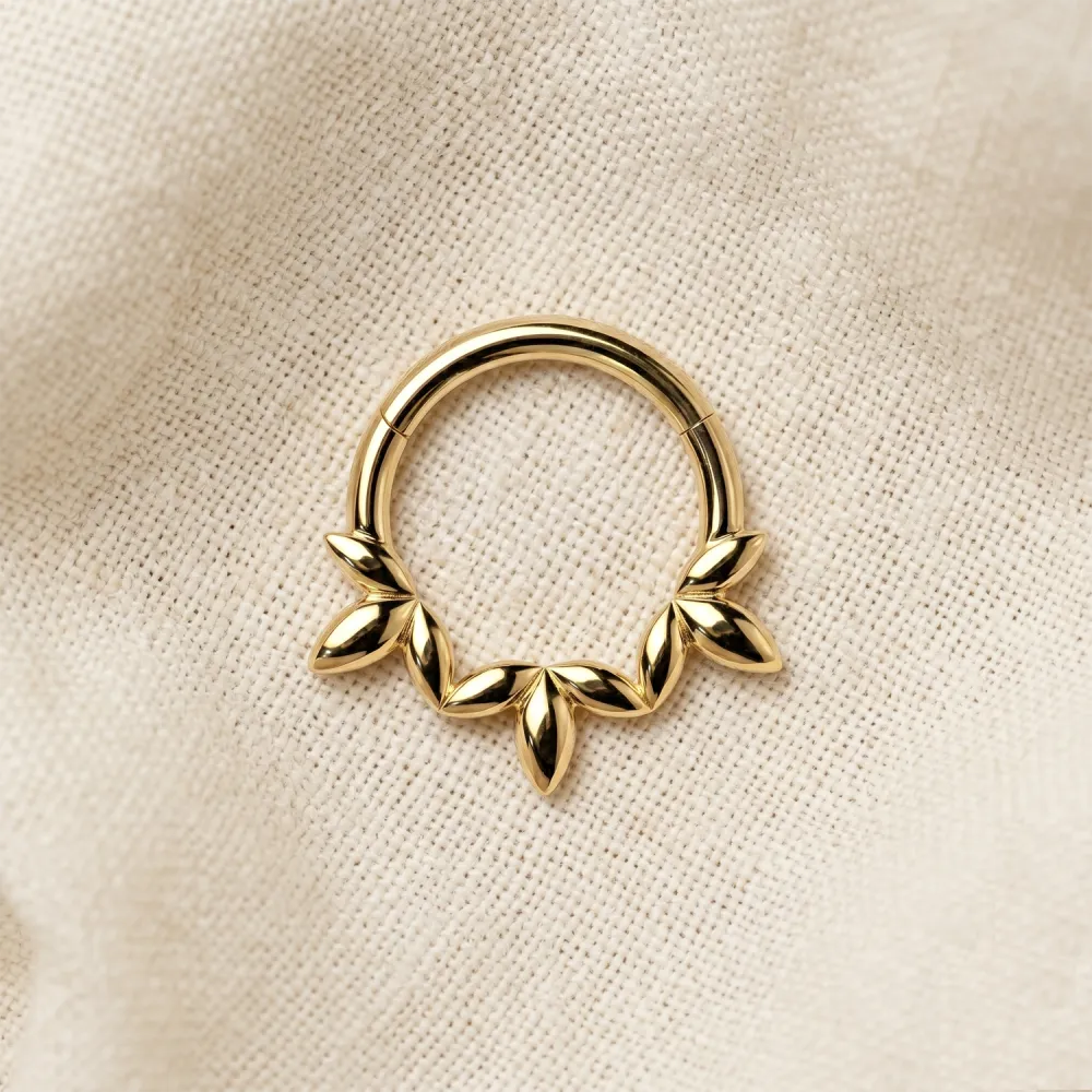 Surgical-Steel Hinged Clicker Hoop Ring