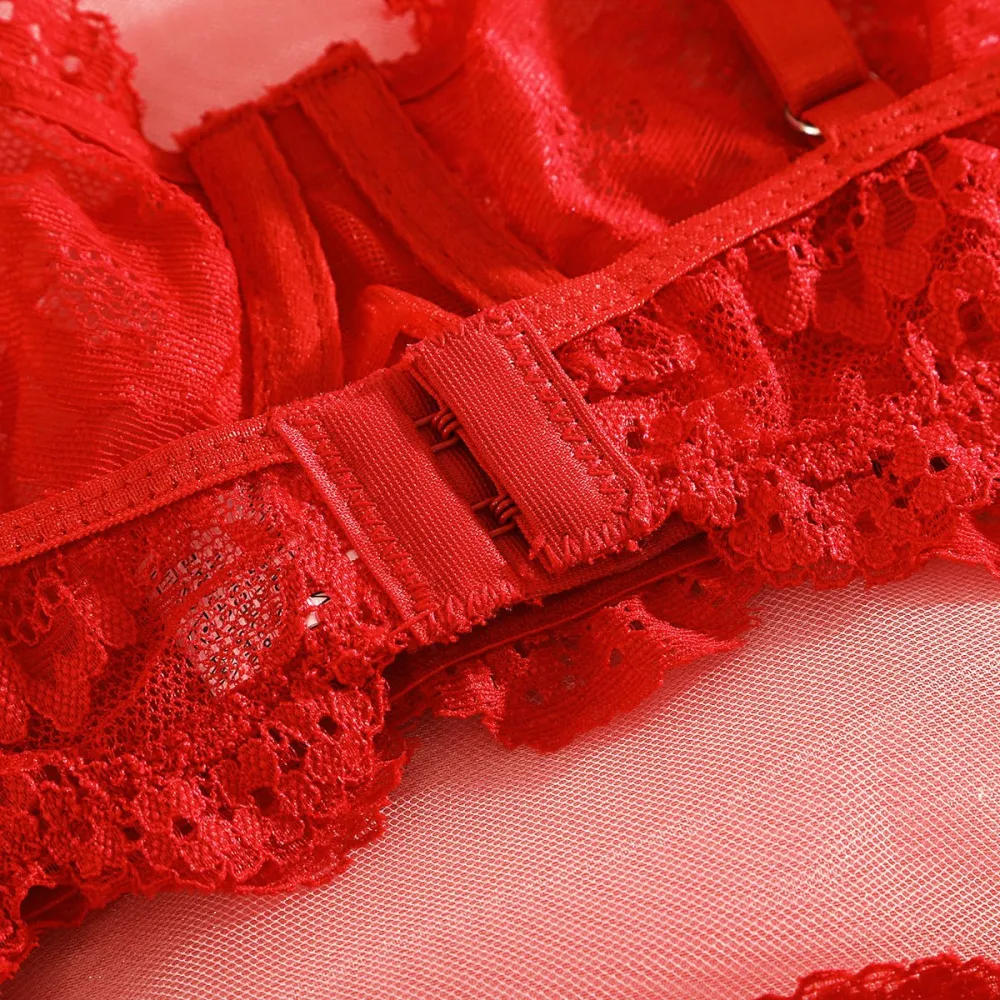 Sheer Lace Suspender Bra And Panty Set