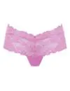 Hipster Lace Brief