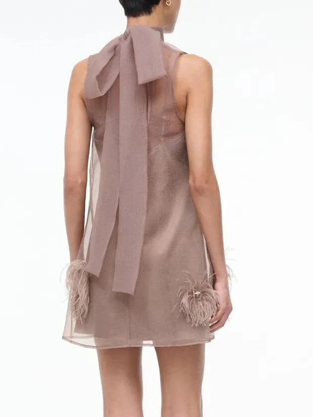 Sheer Feather Embellished Elegant Mini Dress
