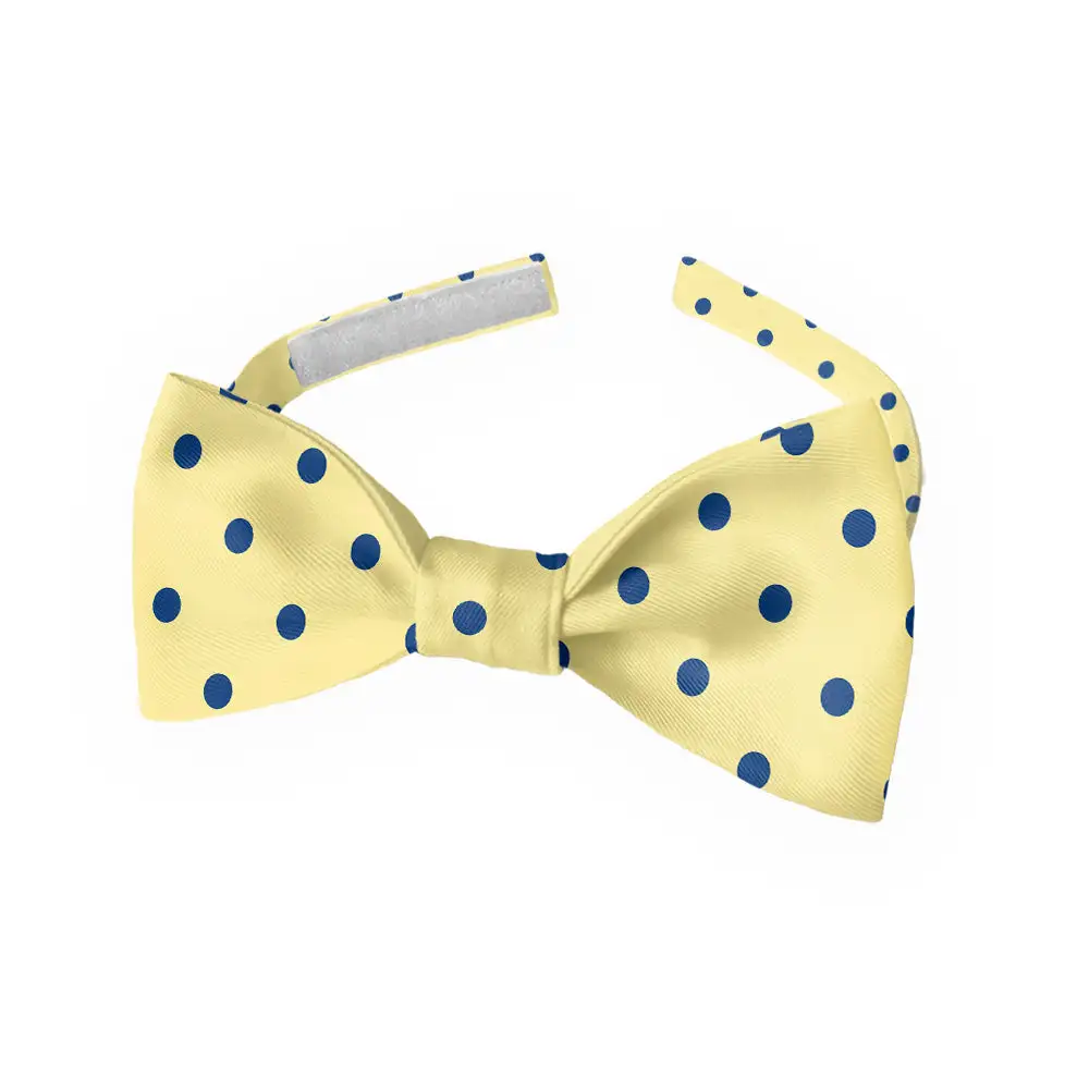 Franklin Dots Motif Bow Tie