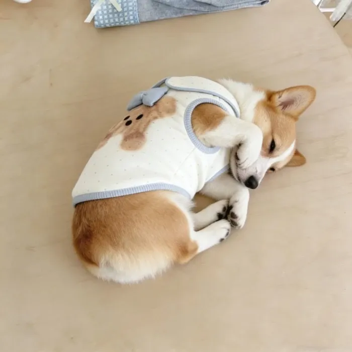 Pet Dog Clothes Super Cute Bear Three-Dimensional Bow Skin-Friendly Vest Medium-Sized Dog Corgi Shiba Inu French Bulldog Pug
