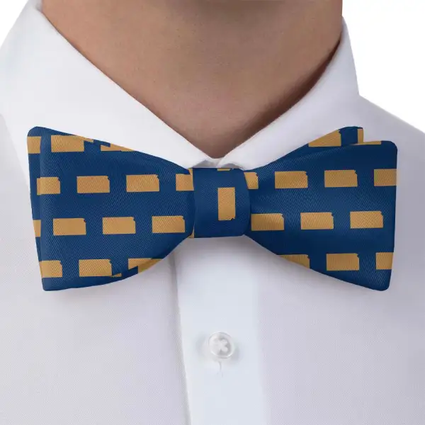 Sharp Outline Motif Bow Tie