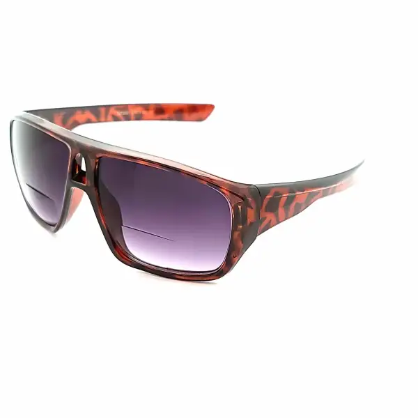 Bifocal Smoke-Lens Reading Sunglasses