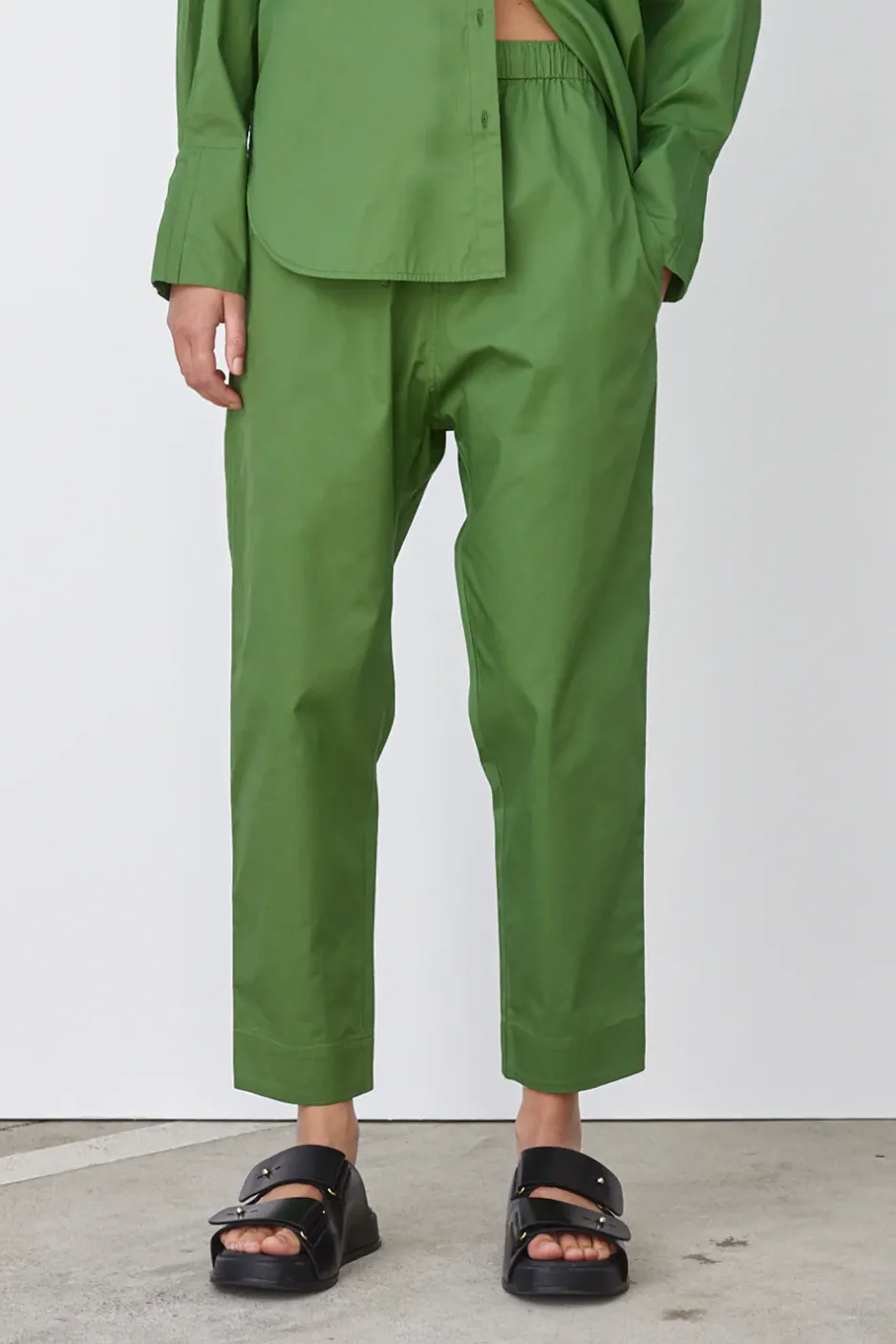 Ashley Pant In Pine