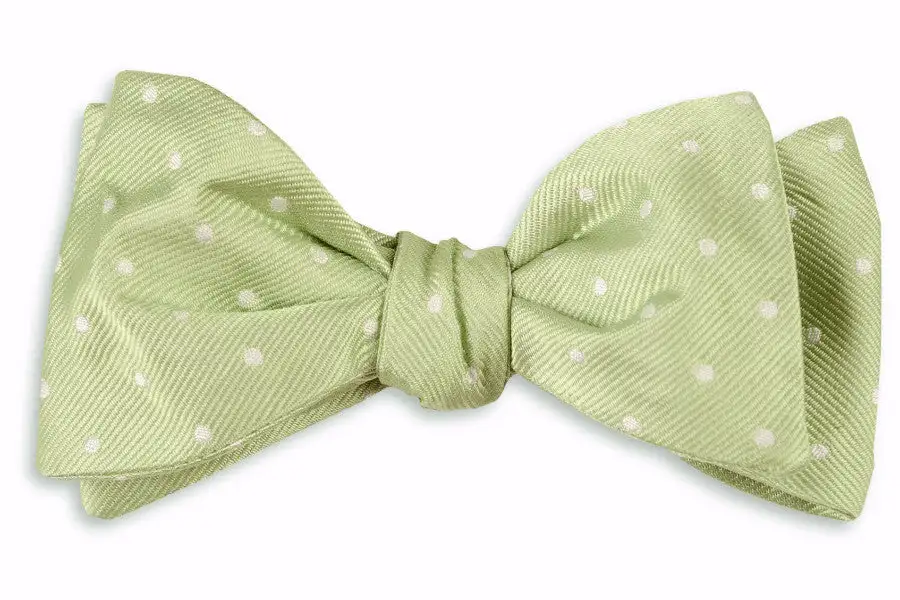 Distinctive Patterned Dotted Bow Tie