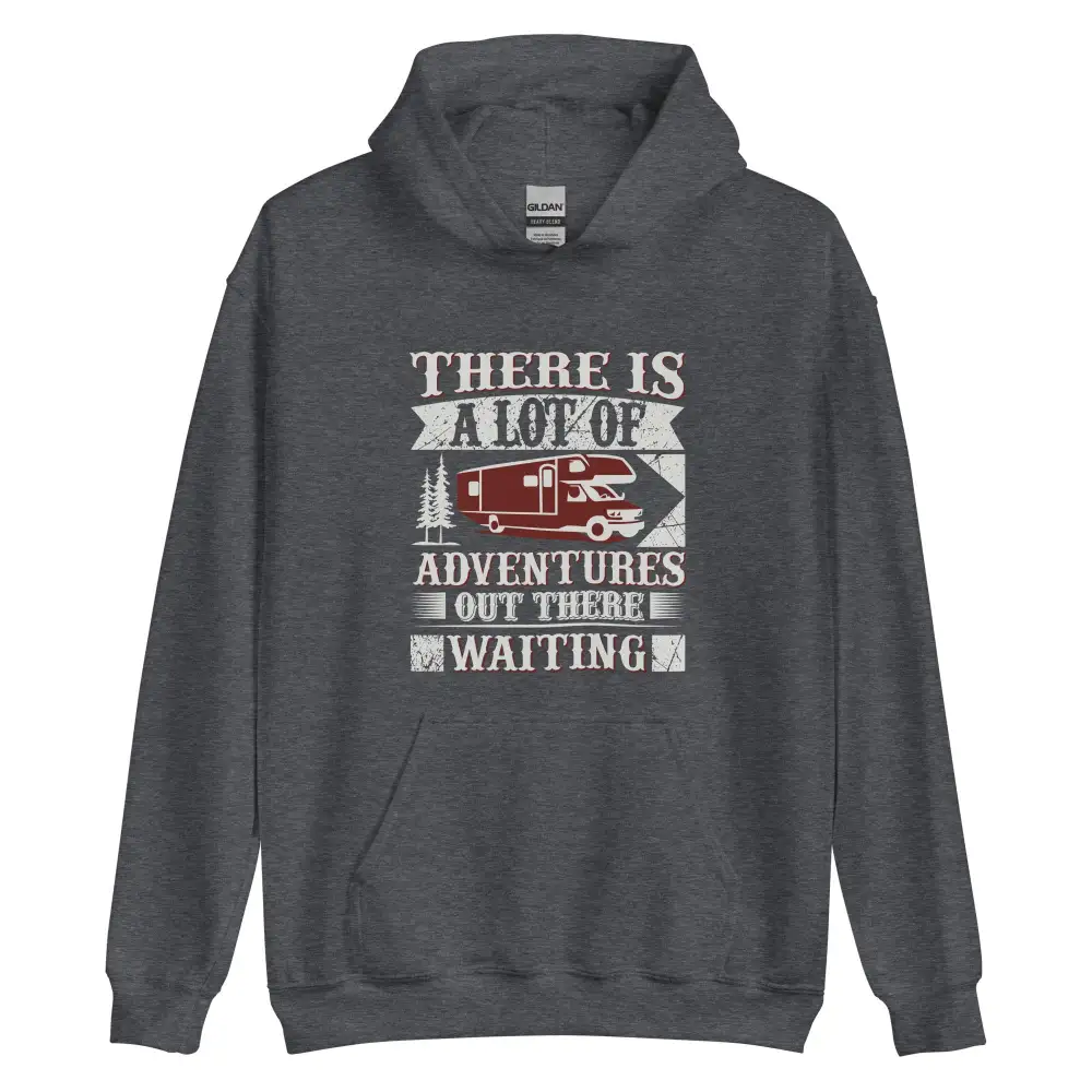 Hoodie A Lot of Adventures