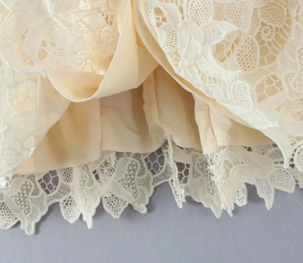 Refined Lace Embroidered Mini Dress