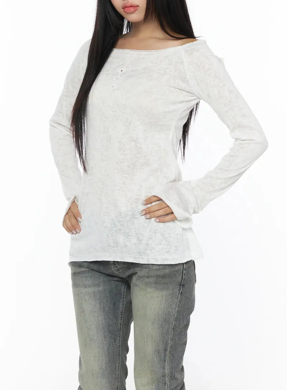 Sheer Boat Neck Embroidered Long Sleeve Top