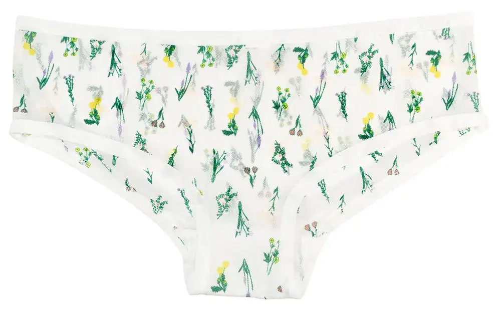 Mesh Floral Soft Hipster Panty