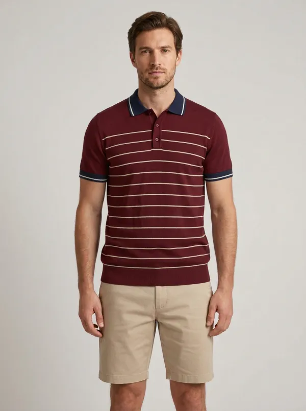 Men's Casual Vintage Striped Pattern Knitted Polo Shirt
