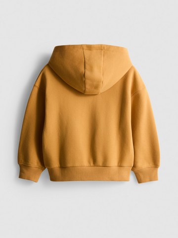 1-9yrs | Cotton Rich Hoodie detail 1
