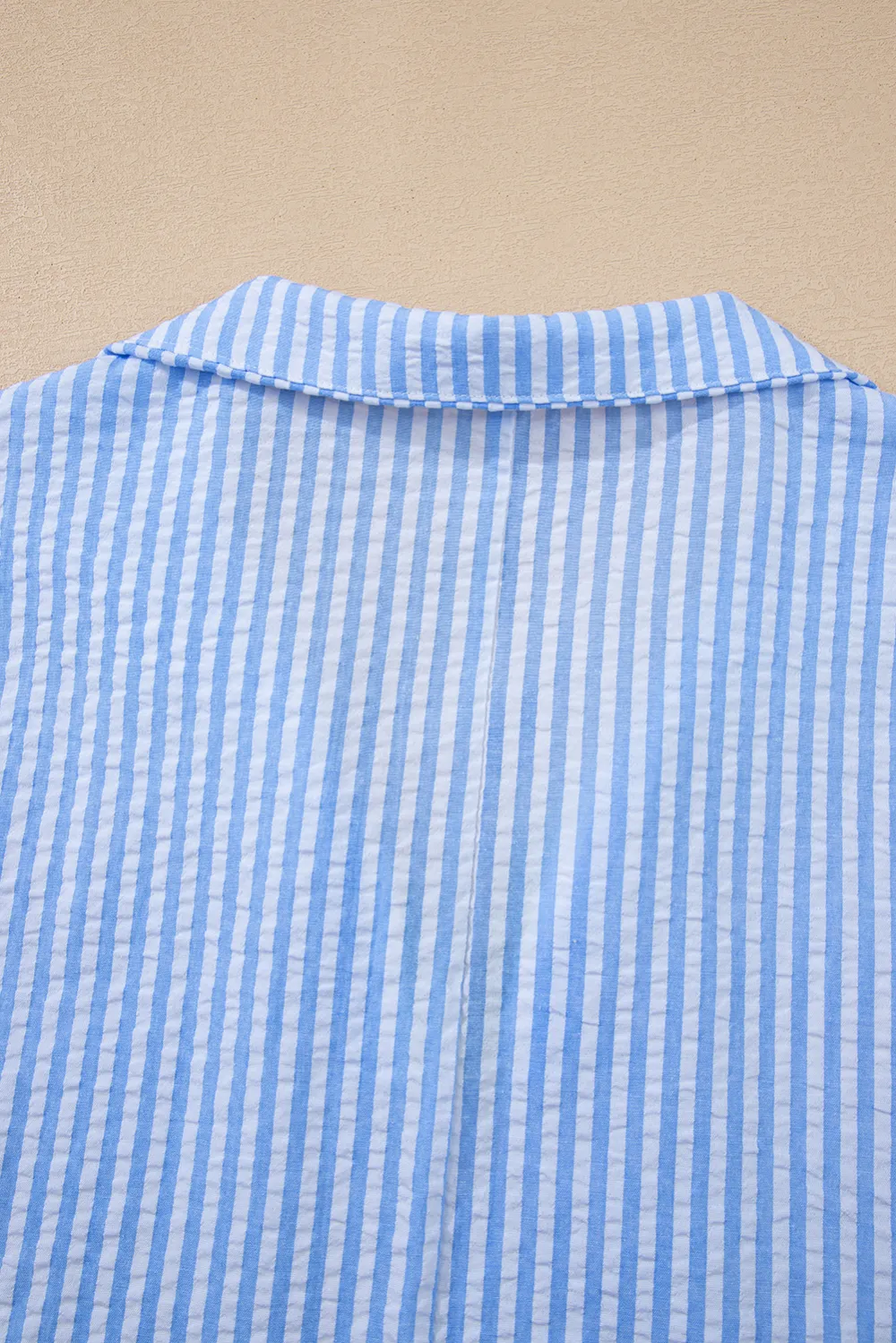 Sky Blue Striped Print Contrast Blouse