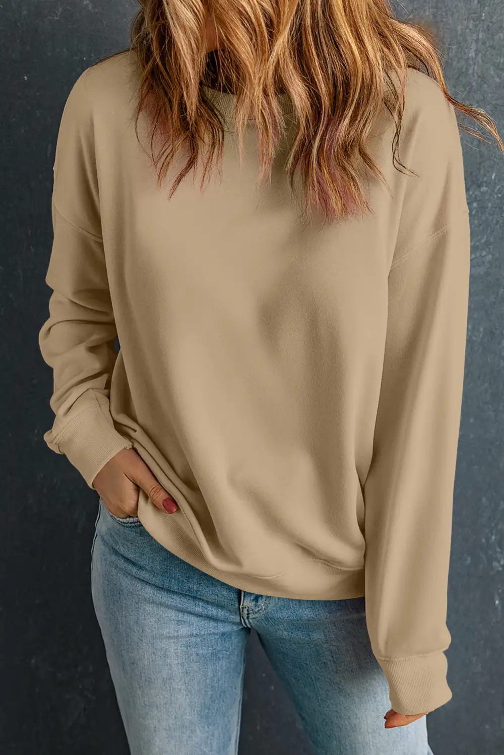 Casual Solid Classic Crew Neck Sweatshirt