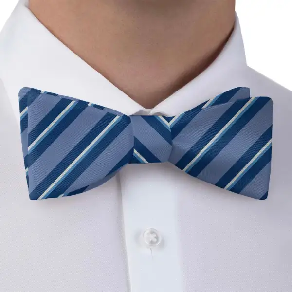 Salem Stripe Motif Bow Tie
