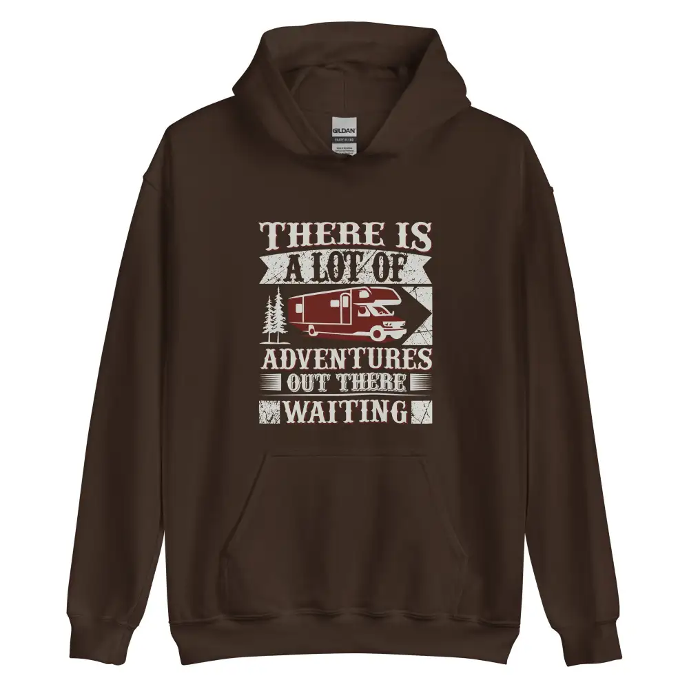 Hoodie A Lot of Adventures