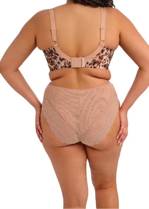 High Leg Lace Brief