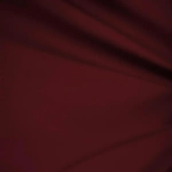 Burgundy Regular Fit Solid Single Breasted Notch Lapel Side Vents Blazer