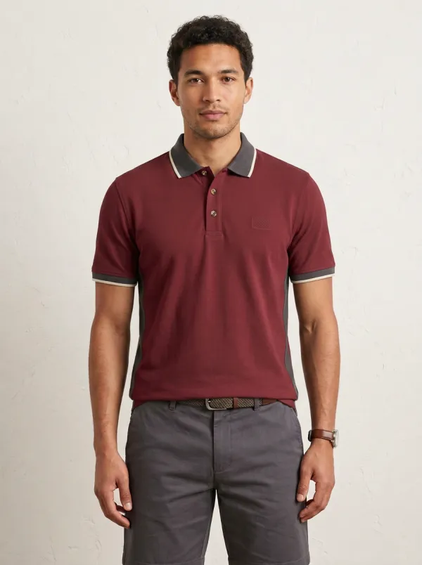 Men's Sage Green Contrast Panel Tipped Collar Polo Shirt