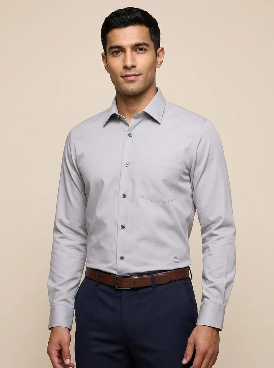 Men's Smart-Casual Non-Iron Cotton Embroidered Accent Long Sleeve Shirt