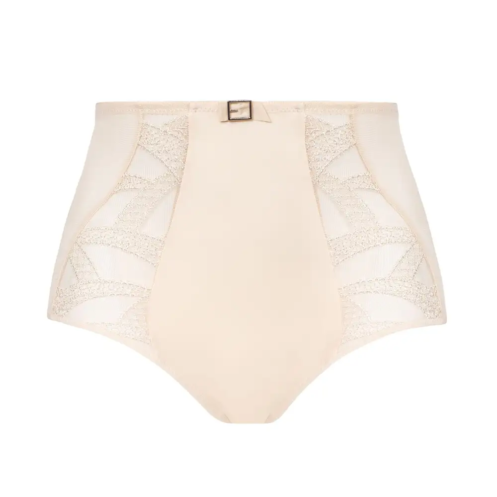 Women's Embroidery Mesh Cutout Detail Lightweight High Waist Panty