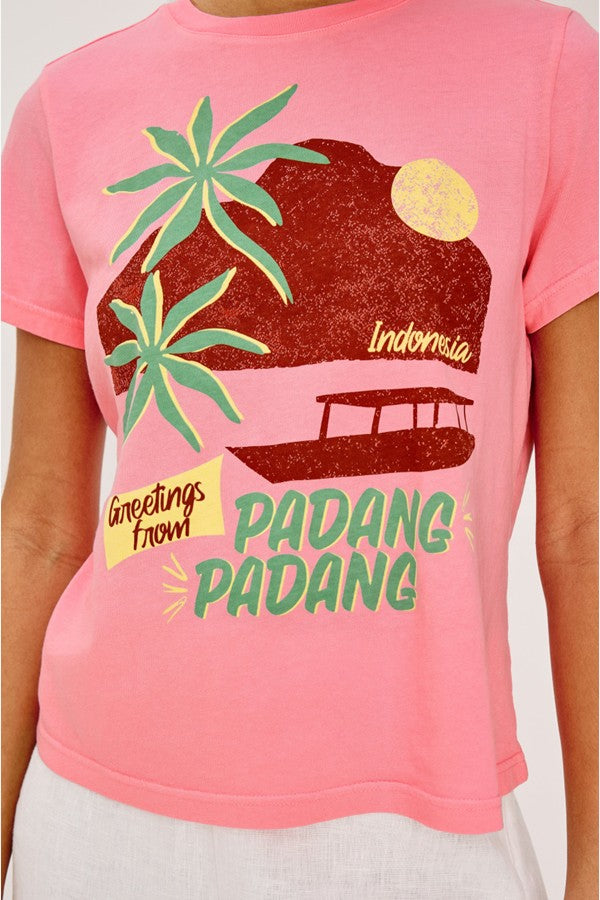 Pink Retro Graphic Print Crew Tee