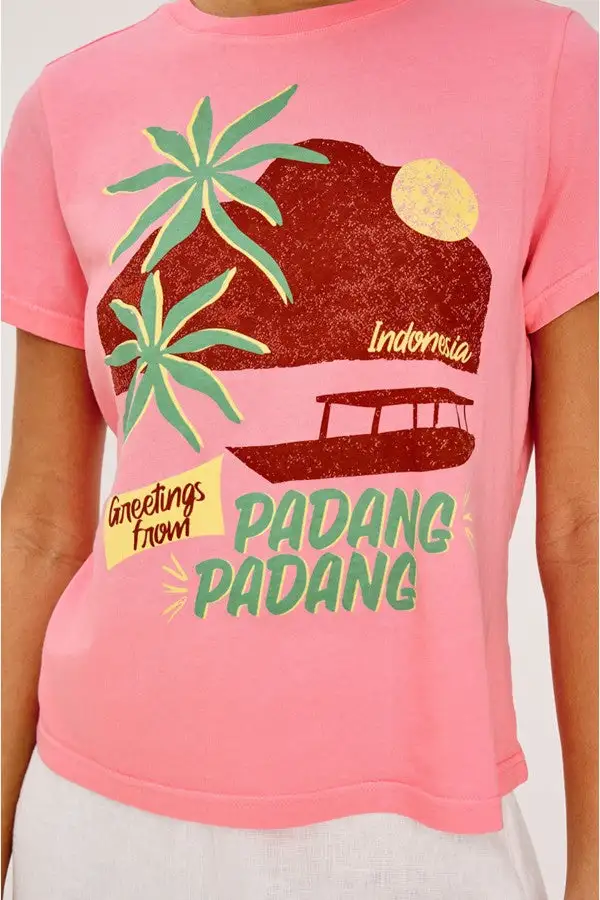 Pink Retro Graphic Print Crew Tee
