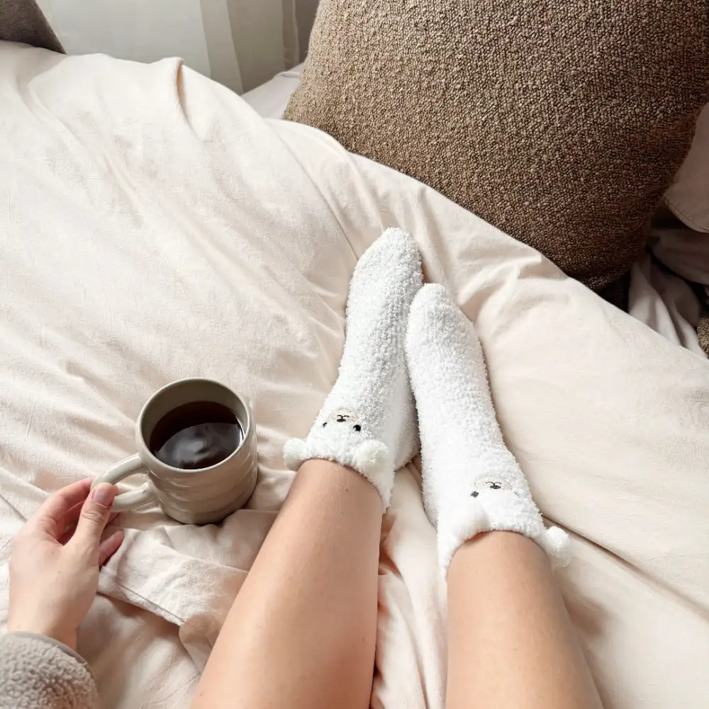 Soft Teddy Bear Socks Pack