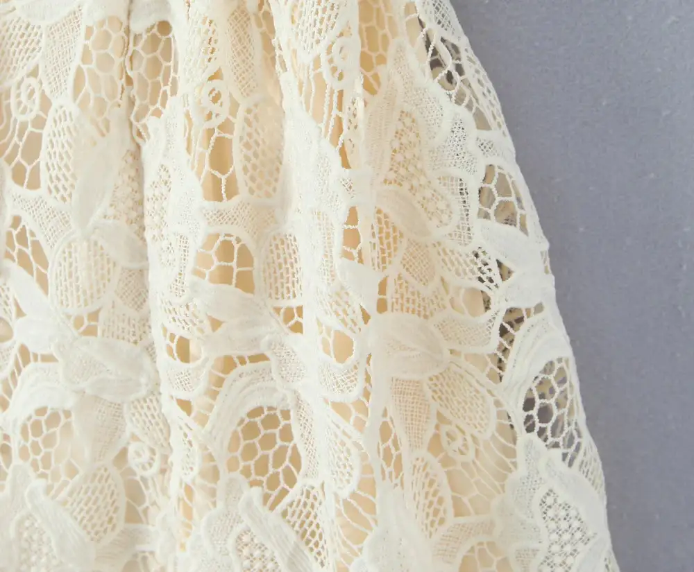 Refined Lace Embroidered Mini Dress
