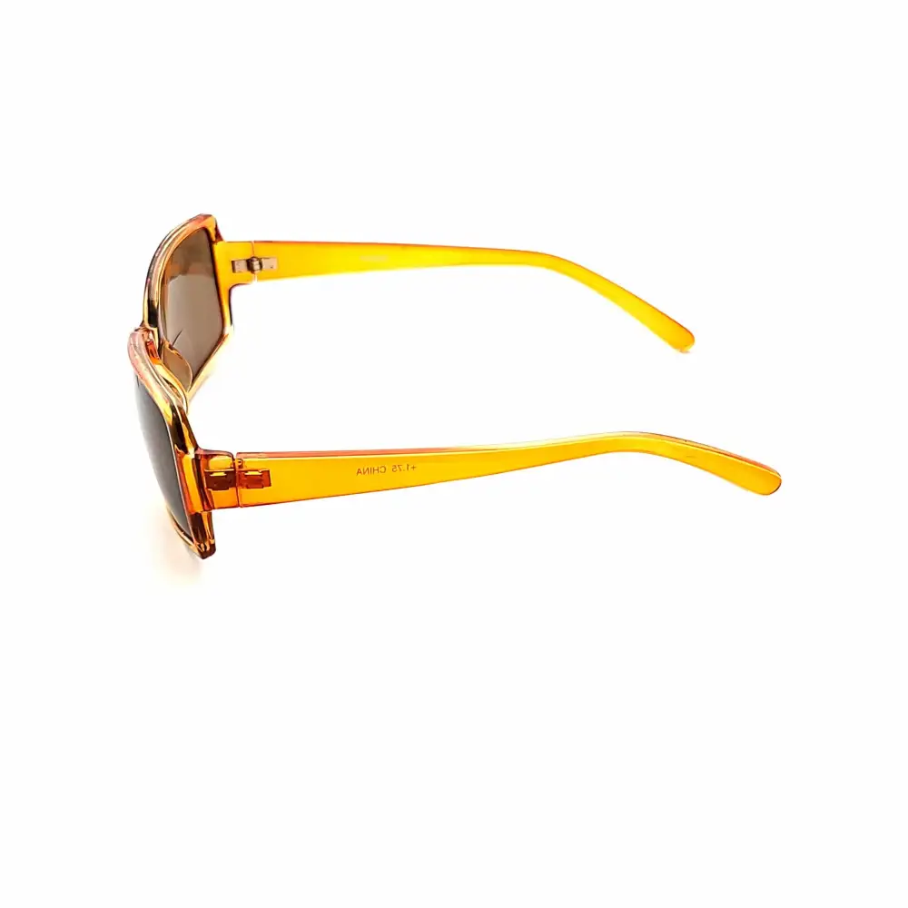 Butterfly Bifocal Reading Sunglasses