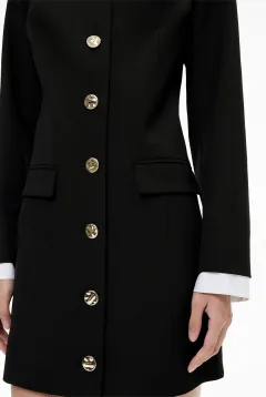 Elegant Button-Up Dress