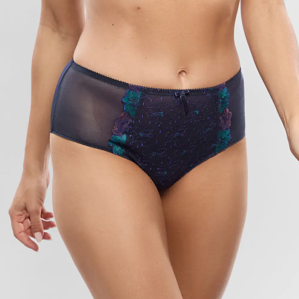 Women's Full Coverage High Waist Elastic Waistband Cotton Gusset Floral Embroidery Mesh Cotton Satin Decorative Bow Soft Fabric Stretch Fit Supportive Fit Brief Panty