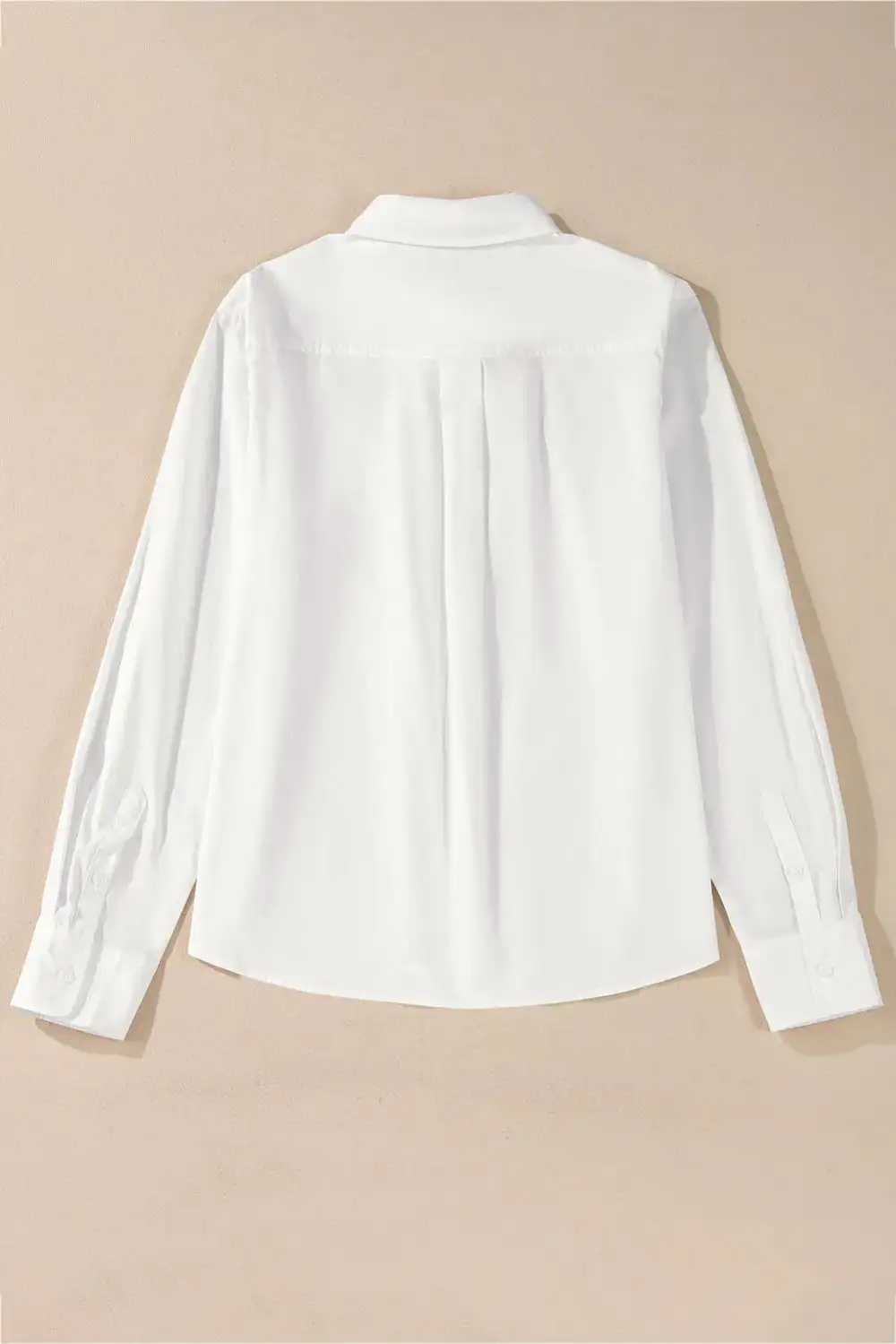 Lace Trim Collared Turn-down Collar Shirt Blouse
