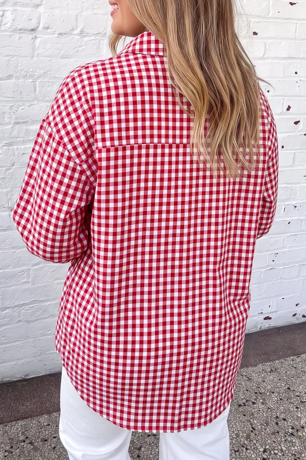 Women's Plaid V Neck Long Sleeve Blouse