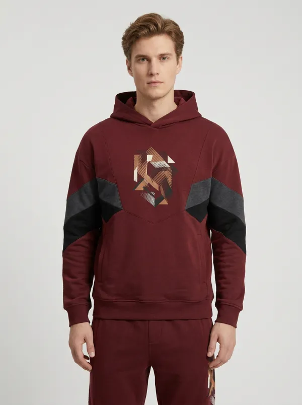 Men's Activewear Geometric Pattern Printed Hoodie Jogger Set
