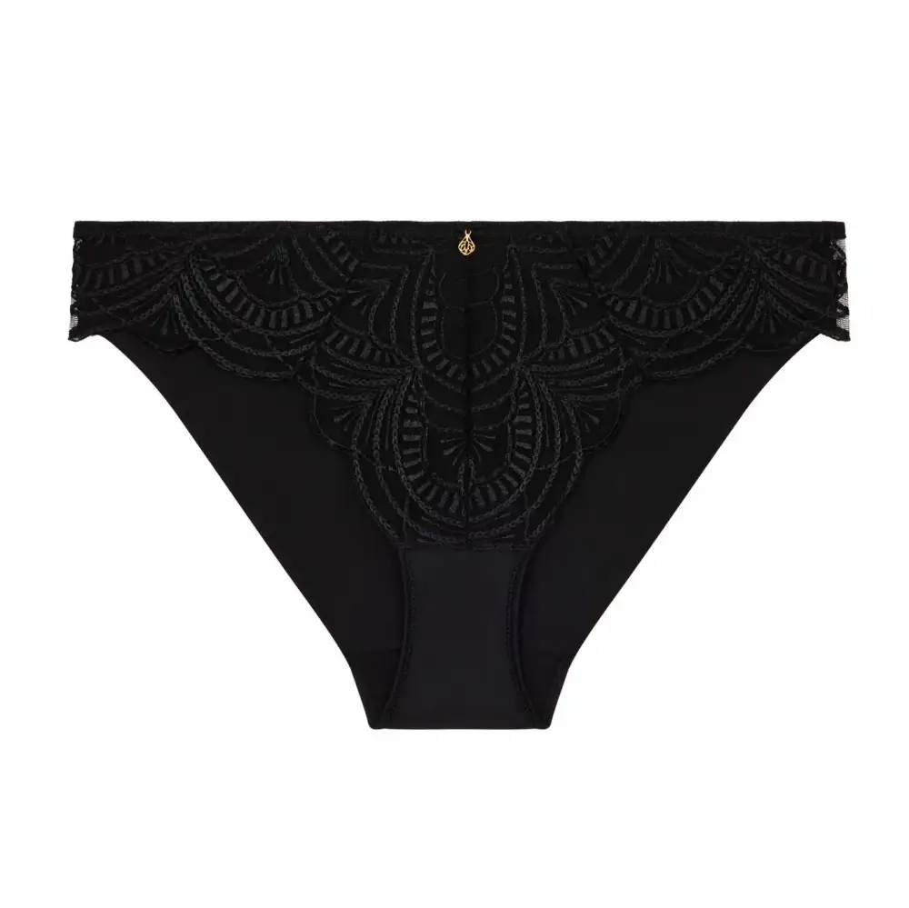 Women's Embroidery Mesh Microfiber Cotton Cutout Detail Bikini Panty