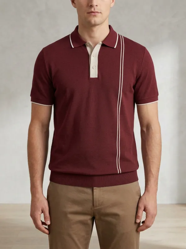Men's Casual Minimalist Vertical Stripe Contrast Trim Polo Shirt