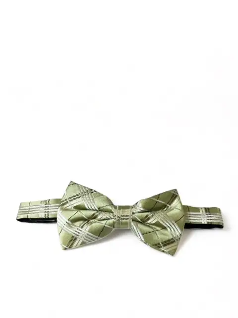 Elegant Plaid Silk Bow Tie
