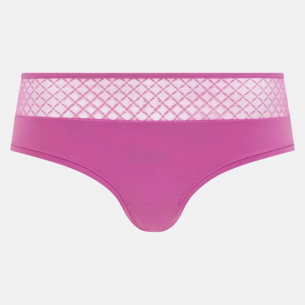 Women's High Cut Cotton Gusset Lace Mesh Microfiber Cotton Soft Fabric Supportive Fit Boxer Panty