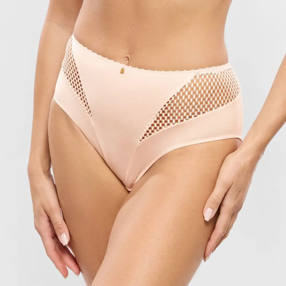 Women's Full Coverage High Waist Elastic Waistband Cotton Gusset Lace Mesh Cotton Soft Fabric Brief Panty