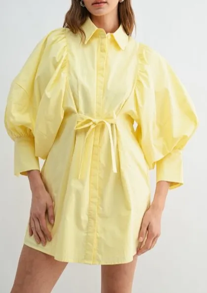 Modern Flirty Balloon Sleeve Mini Shirt Dress