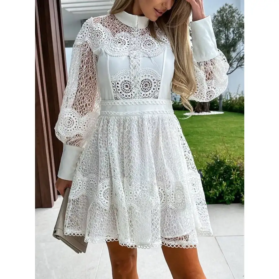 Soft Everyday Lace Lantern Sleeve Mini Dress