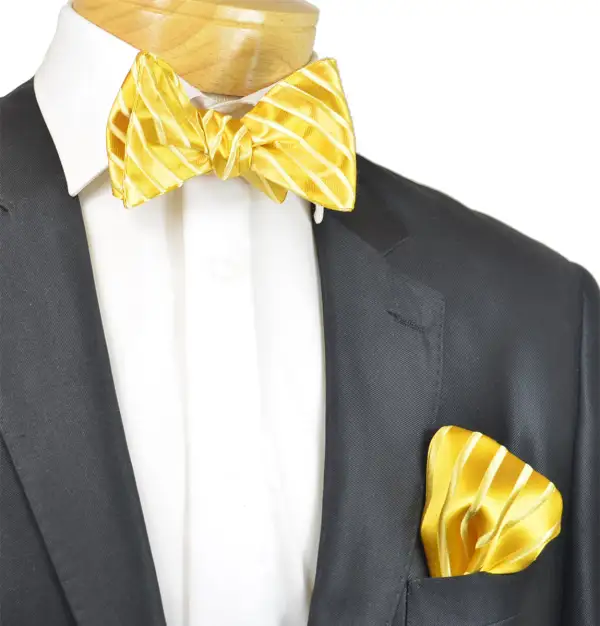 Composed Silk Bow Tie Set