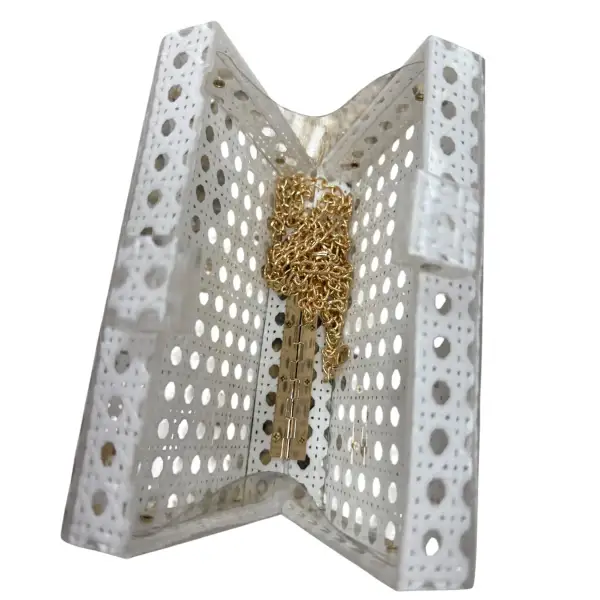 Modern Clear Box Clutch – White