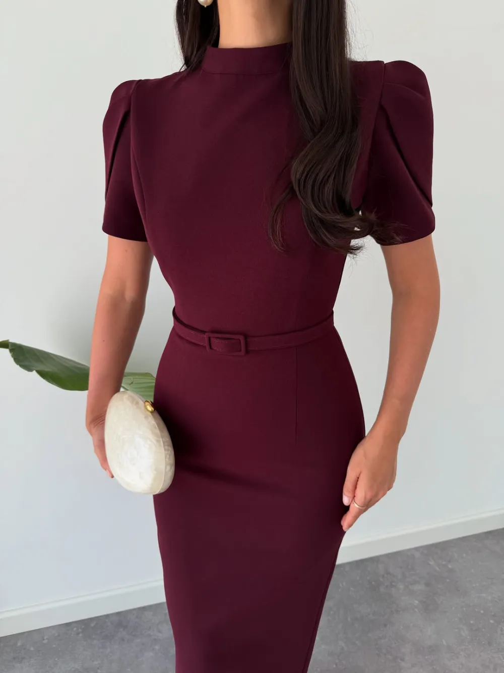 Elegant Stand Up Collar Belted Midi Dress