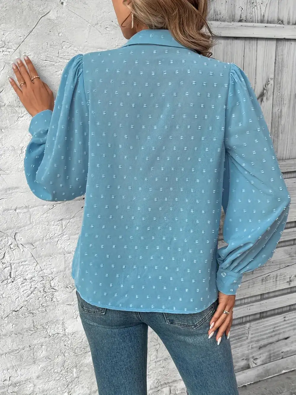 Swiss Dot Collared Neck Long Sleeve Shirt