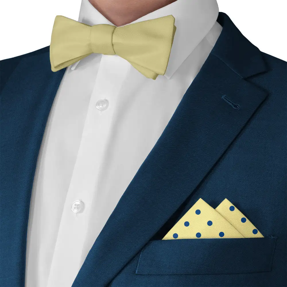 Distinctive Graceful Dotted Pocket Square