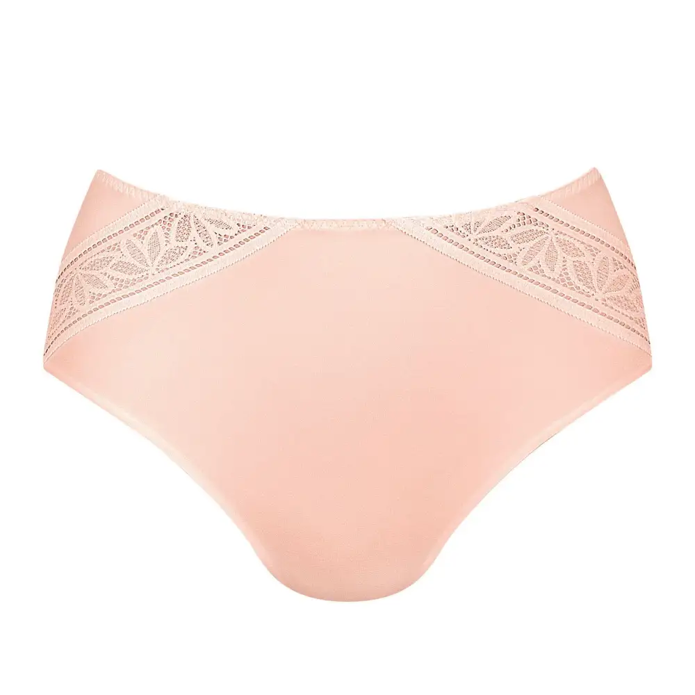 Women's High Waist Floral Lace Lightweight Brief Panty
