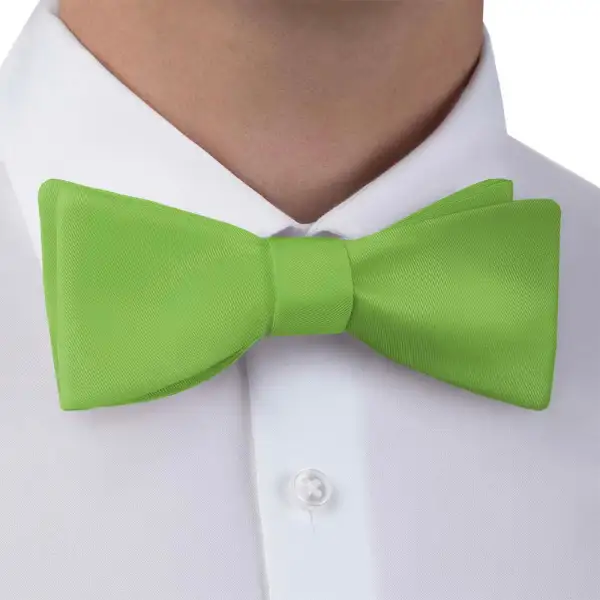 Refined Solid Pattern Bow Tie